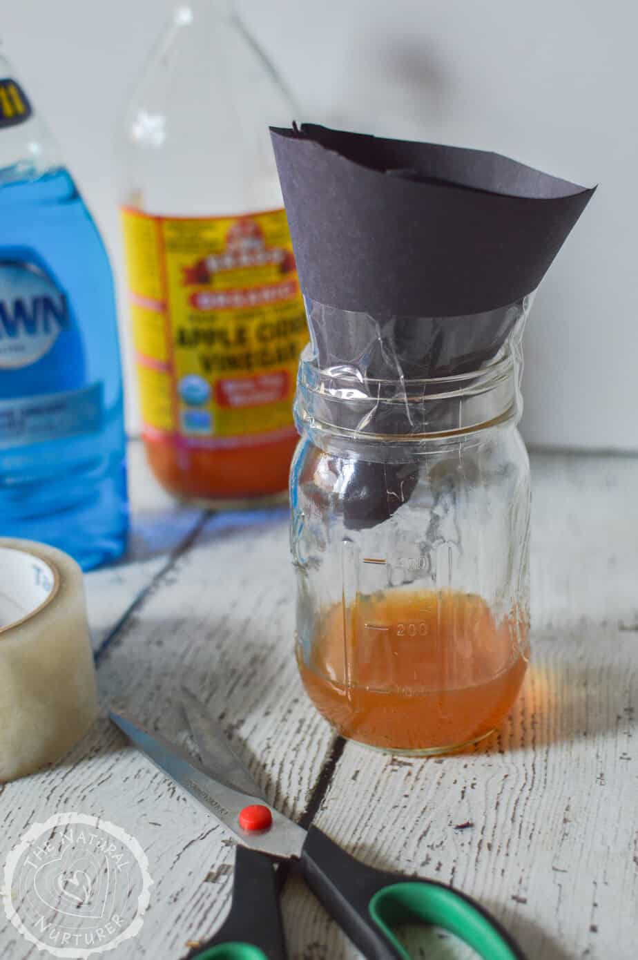 How to Get Rid of Fruit Flies (Plus Easy Fruit Fly Trap)