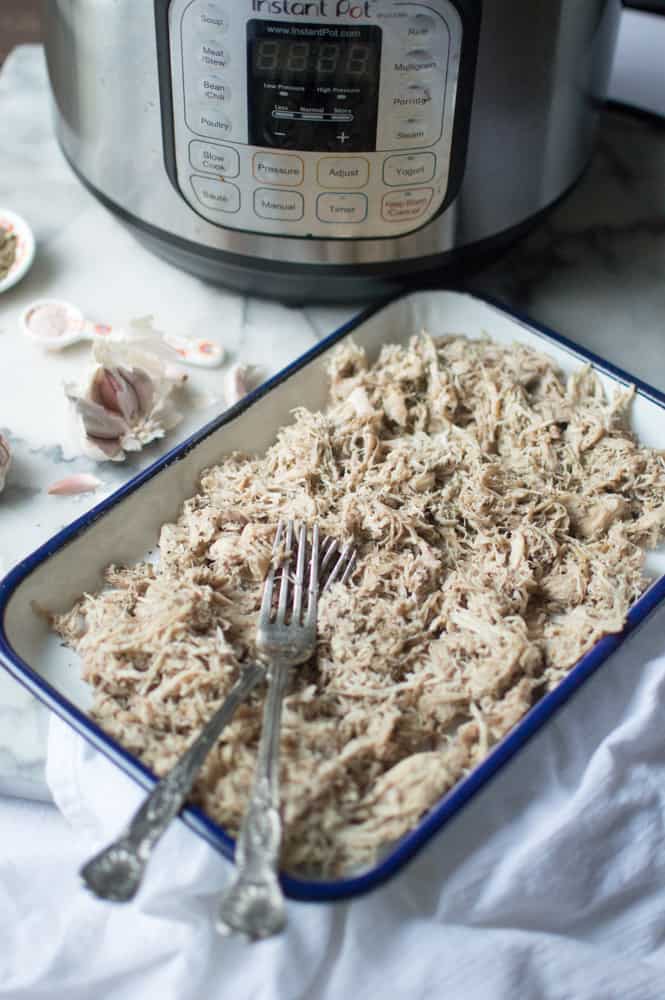 Instant Pot Garlic Herb Pulled Chicken in a tray with two metal forks on top of the chicken