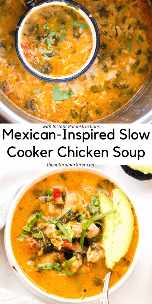 Mexican-Inspired Slow Cooker Chicken Stew - The Natural Nurturer