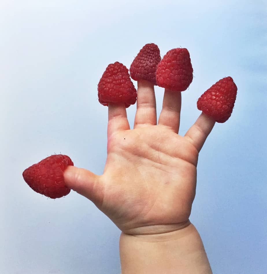 a child's hand with a raspberry on each finger