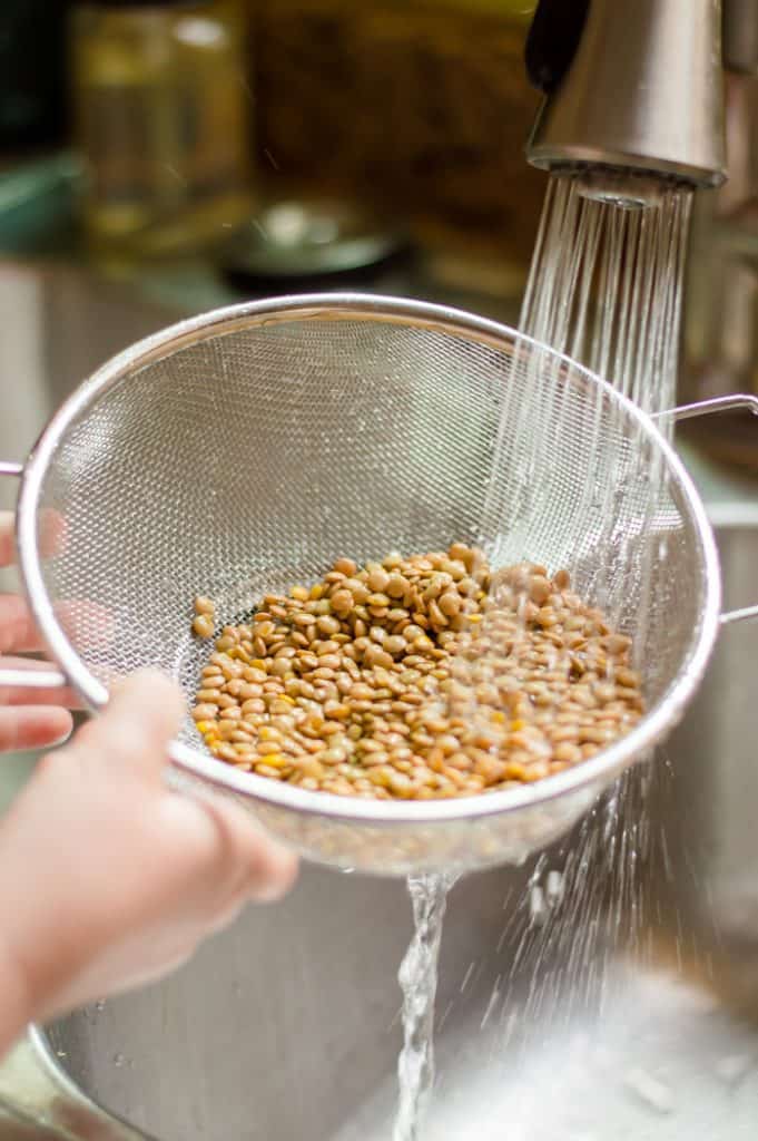 Dry brown lentils in a mesh strain over a sink, being rinsed before cooking. 