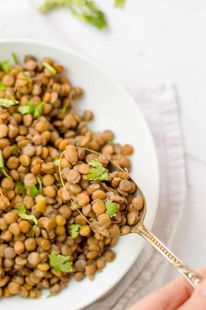 A bowl of cooked brown lentils in a bowl, sprinkled with chopped cilantro.  A spoon is holding a scoop up the lentils up closer to the camera.