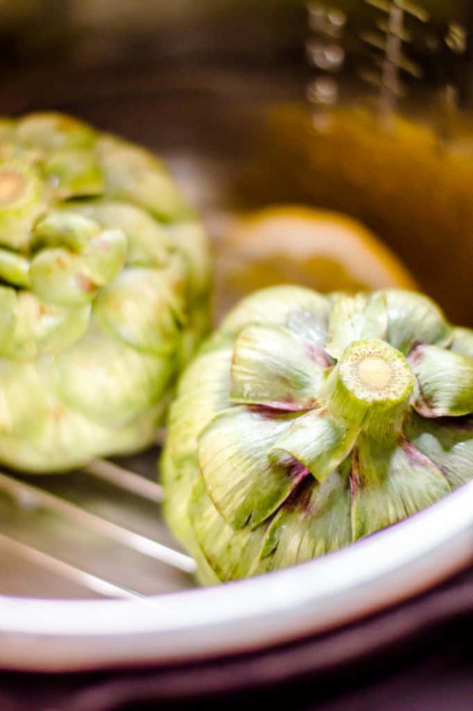 Two artichokes in an Instant Pot, upside down, before cooking. 
