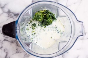 spinach and milk in a blender
